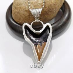 Natural Brown Fossil Megalodon Shark Tooth Pendant Necklace Best Jewelry Gift