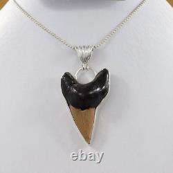 Natural Brown Fossil Megalodon Shark Tooth Pendant Necklace Best Jewelry Gift