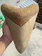Private New World Record Biggest Super Rare Megalodon World Shark Tooth 11 Inch