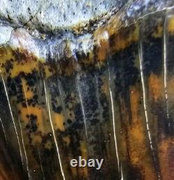Peruvian Transitional Shark Tooth Fossil Carcharodon Hubbelli Not Megalodon Mako
