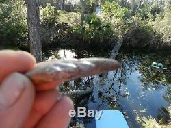 Rare Basilosaurus Pre Molar tooth Megalodon Shark Tooth Zeuglodon