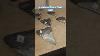 Real Megalodon Shark Fossil Teeth Shorts Follow Megalodon Shark Sharkteeth Fyp Shortsvideo