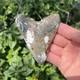Real Megalodon Shark Tooth 3.90 Fossil