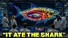 Scientists Finally Discovered The Predator That Swallowed A Great White Shark Whole