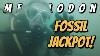 Scuba Diving For Megalodon Teeth In Venice Florida Fossil Hunting Jackpot