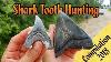 Shark Tooth Hunting In Florida Summer Of 2018 Compilation Megalodon Teeth U0026 Fossil Great Whites