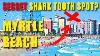 Shark Tooth Hunting The Carolinas Myrtle Beach Part Ii