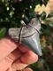 Sterling Silver Megalodon Shark Tooth Pendant, 1 & 5/8 Megalodon Shark Tooth