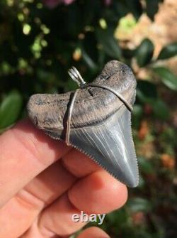 Sterling Silver MEGALODON SHARK TOOTH Pendant, 1 & 5/8 Megalodon Shark Tooth