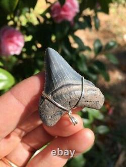 Sterling Silver MEGALODON SHARK TOOTH Pendant, 1 & 5/8 Megalodon Shark Tooth