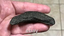 Sweet 3.22 x 2.93 Megalodon Posterior Shark Tooth Fossil SEE ALL PICS