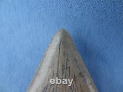 TOP QUALITY & RARE SIZE 5.32 Sharktooth Hill Megalodon Shark Tooth Teeth