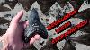 The Best Megalodon Shark Tooth Site I Have Ever Found