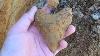 The Best Megalodon Tooth Hunting Site I Ever Found