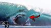 Top 10 Megalodon Sightings That Scientists Can T Explain