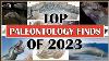 Top Paleontology Finds Of 2023