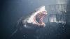 Unbelievable Proof The Megalodon Never Went Extinct