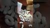 Unboxing Ancestral Great White Shark Tooth Necklace 1 82 Inches Real Fossil