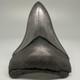 Very Cool Silver Color Complete 3.68 Fossil Megalodon Shark Tooth Usa