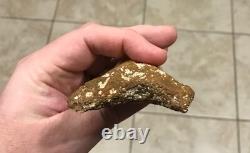 Very Pretty & Nicely Shaped 4.06 Megalodon Sharktooth Fossil
