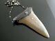 Vintage Megalodon Fossil Shark Tooth Set With Four Diamonds 925 Chain Necklace