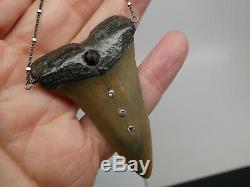 Vintage Megalodon Fossil Shark Tooth Set With Four Diamonds 925 Chain Necklace