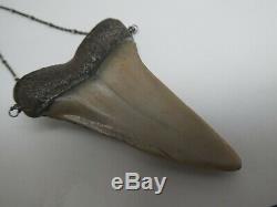 Vintage Megalodon Fossil Shark Tooth Set With Four Diamonds 925 Chain Necklace