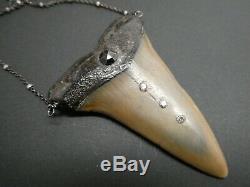 Vintage Megalodon Fossil Shark Tooth Set With Four Diamonds 925 Chain Necklace