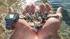 Waterproof Metal Detecting Under A Closed Waterpark 15 000 12 Rings 2 Watches And 40 Coins