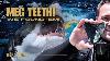 We Found Megalodon Teeth While Diving In Florida Here S How You Can Too