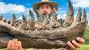 We Found Rare T Rex Teeth
