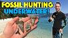We Go Fossil Hunting Underwater Unexpected Finds In Charleston South Carolina