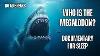 Who Is The Megalodon Documentary For Sleep