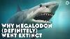 Why Megalodon Definitely Went Extinct