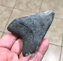 Wonderfully Unique Marbled Sweetheart S. W. Fl. Megalodon Sharktooth Fossil