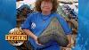 World S Biggest Megalodon Tooth Real Or Fake