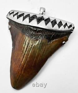 X-Large Megalodon Shark Tooth Pendant Megalodon Tooth 2.22 Inches W silver Cap
