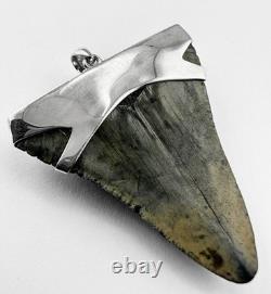 X-Large Megalodon Shark Tooth Pendant Megalodon Tooth 2+ Inches W silver Cap