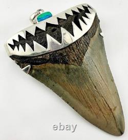 X-Large Megalodon Shark Tooth Pendant Megalodon Tooth with Sterling Silver Cap