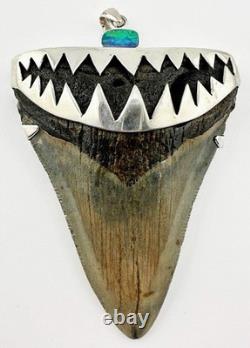 X-Large Megalodon Shark Tooth Pendant Megalodon Tooth with Sterling Silver Cap