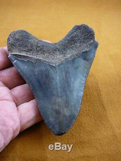 (s280-212) 4-1/4 Fossil MEGALODON Shark Tooth Teeth JEWELRY I love sharks Big